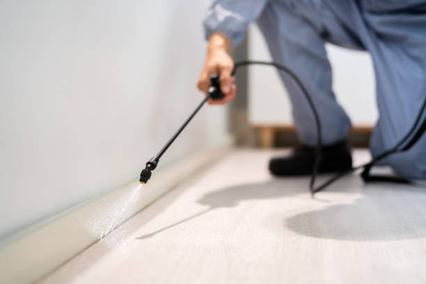 Licensed Termite Control service in Williamston, MI - Nex Pest Control