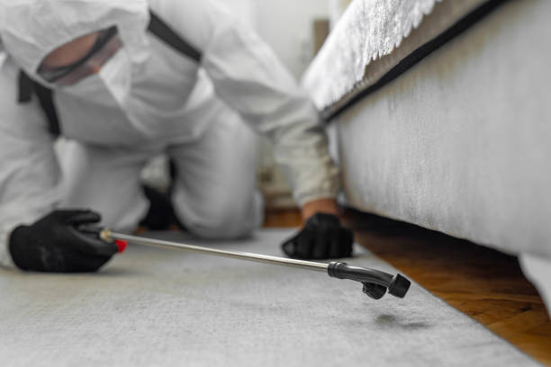 Professional Termite Control technician working in Williamston, MI