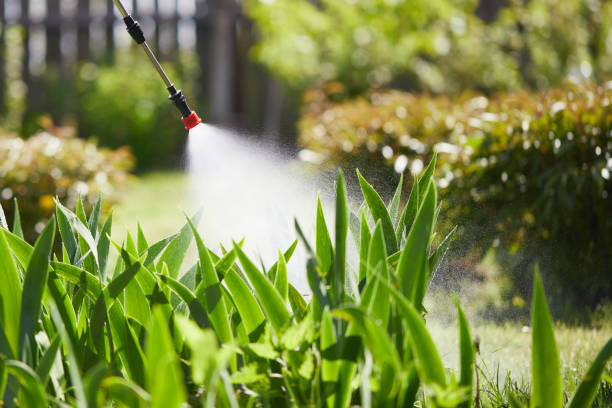 24/7 Emergency Termite Control experts in Williamston, MI