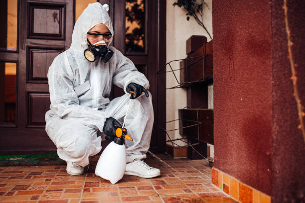 Reliable Termite Control contractor in Williamston, MI by Nex Pest Control