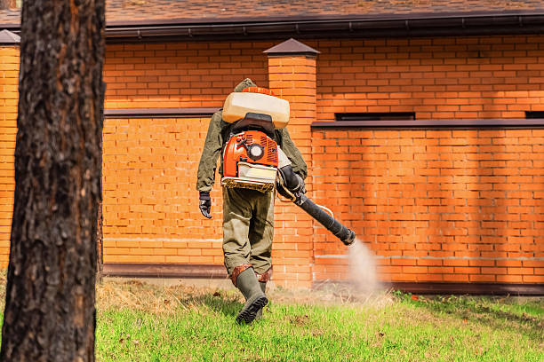Trusted Cockroach Control service in Williamston, MI - Nex Pest Control